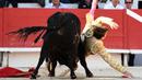 Seorang matador dari Prancis Andy Younes ditanduk oleh banteng Spanyol Jandilla saat kompetis Feria du Riz di Arles, Prancis (4/1). Matador muda ini tersungkur ke tanah usai ditanduk sang banteng. (AFP/Boris Horvat)