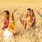 Pemuda Sikh menampilkan tarian tradisional rakyat Punjab atau Bhangra jelang festival panen Baisakhi di ladang gandum pinggiran Amritsar, India, 11 April 2021. Baisakhi adalah festival yang dirayakan di seluruh India utara, terutama di wilayah Punjab oleh komunitas Sikh. (NARINDER NANU/AFP)