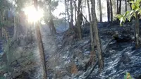 Pemadaman kebakaran hutan di Gunung Arjuno butuh dukungan water bombing atau bom air dari udara (BPBD Kota Batu)