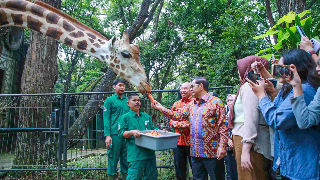 Gubernur DKI Jakarta, Pramono Anung, meninjau Taman Margasatwa Ragunan (TMR), Pasar Minggu, Jakarta Selatan, pada Kamis (14/8/2025).
