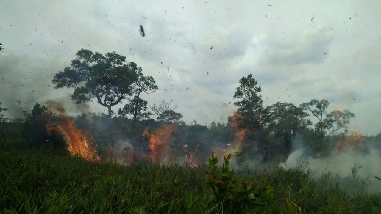 Karhutla Kalteng