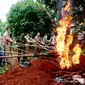 Pemusnahan daging celeng ilegal asal bima sebanyak 70 kilogram oleh, Karantina Pertanian Kupang Wilayah Kerja (Wilker)Waikelo, NTT. (Foto Istimewah)