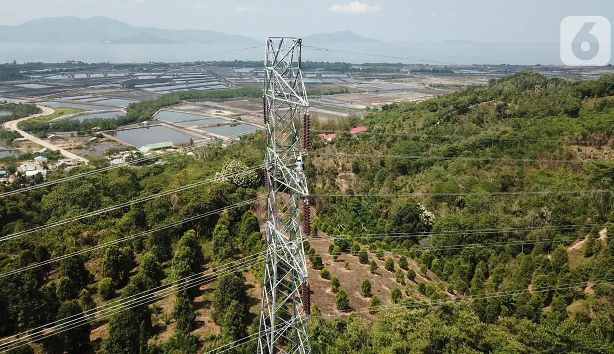 Ribuan menara tersebut, melewati jaringan yang berada pada enam gardu induk dan membentang dari Wotu, Malili, Lasusua, Kolaka, Unaaha hingga Kendari.( Dok: Humas PLN)