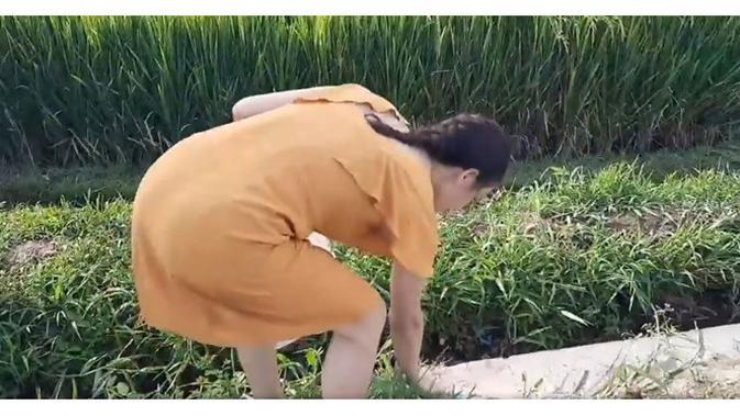 6 Gaya Sederhana Nora Alexandra saat di Pinggir Sawah, Lepas Penat (sumber: Instagram.com/ncdpapl)