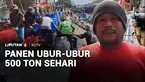 Para nelayan di Cilacap mendulang berkah lewat panen ubur-ubur yang melimpah. Tangkapannya mencapai 500 ton per hari.
