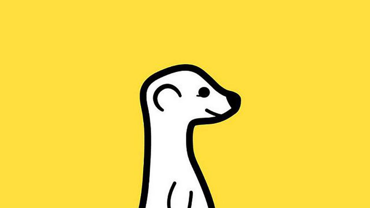 Aplikasi Live Streaming Meerkat Bantah Diakuisisi LG