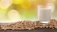 Apakah Kualitas Susu Soya Sama dengan Susu Sapi?