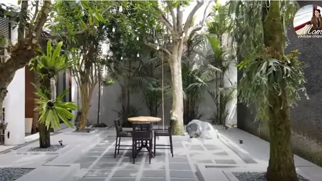 Belakang Rumah Momo Geisha