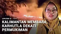 Kebakaran Gambut Hanguskan Lebih dari 10 Hektare Kebun Sawit di Kotawaringin Timur