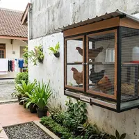 Kandang Ayam Tempel Dinding Model Lemari Gantung. [Gemini AI]