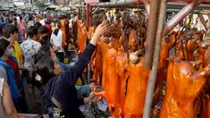 Seorang pedagang menggantung babi panggang di pasar di Phnom Penh, Kamboja (4/2). Menyambut Tahun Baru Imlek, warga Kamboja mempersiapkan daging babi panggang untuk sajian makan. (AFP Photo/Tang Chhin Sothy)
