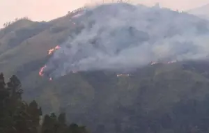 100 Hektare Hutan Gunung Lawu Terbakar, Berpotensi Meluas