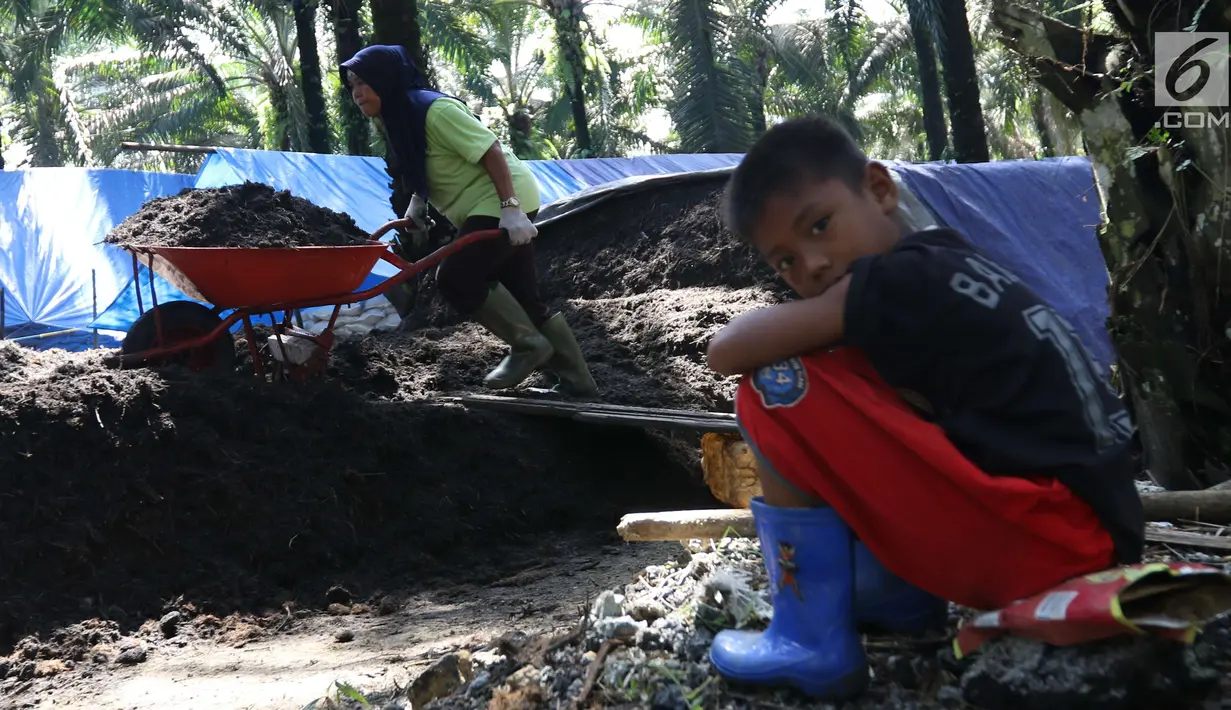 Pekerja dari kelompok tani mekar jaya binaan PT Wirakarya Sakti unit forestry APP Sinarmas mengangkut pupuk kompos di Kab Tanjung Jabnung Barat, Jambi, Kamis (3/5). Usaha pupuk kompos tersebut mampu hasilkan 100 ton perbulan. (Liputan6.com/Angga Yuniar)