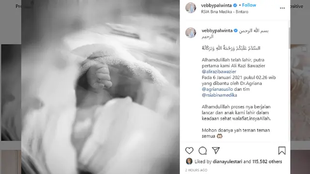 Vebby Palwinta