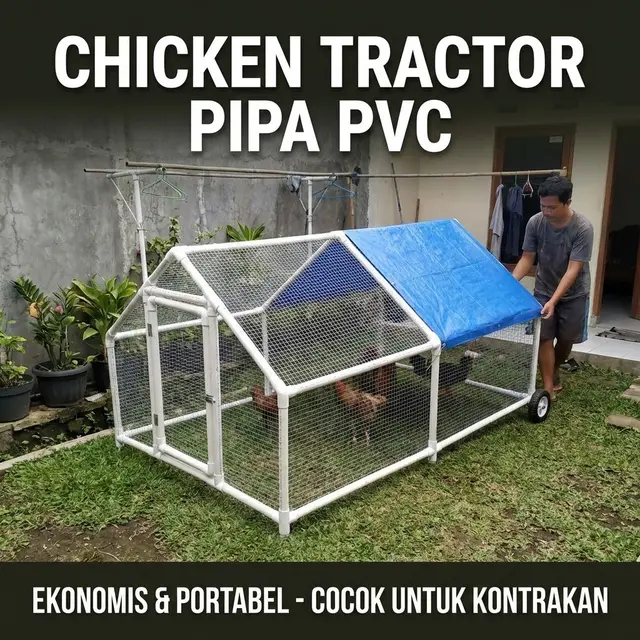 Kandang Ayam Tractor Pipa PVC (Gemini AI)
