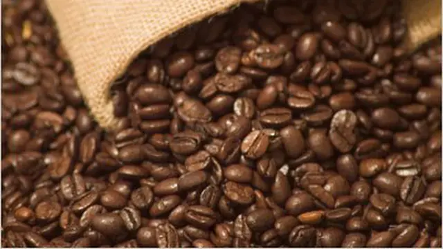 5 Kopi Termahal di Dunia