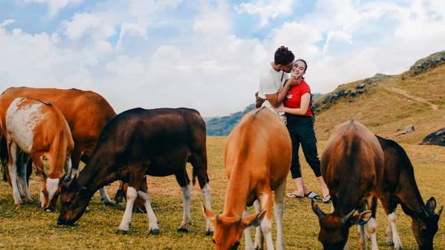 Ammar Zoni dan Irish Bella