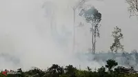 Posko Tanggap Darurat Asap Riau Ditutup