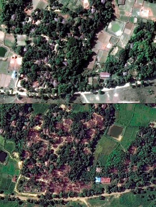 Foto dari citra satelit menunjukkan Desa Wa Peik yang dihuni oleh minoritas muslim Rohingya pada 2014 (atas) dan sesudah dibakar oleh militer Myanmar pada 10 November 2016 (bawah). (Copyright 2016 Human Rights Watch/REUTERS)