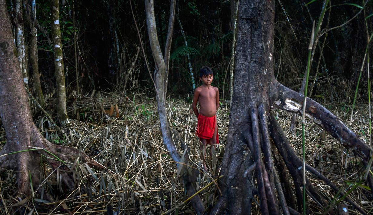 PHOTO: Ditengah Tekanan Pertambangan, Suku Waiapi Tetap ...