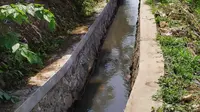 Rehabilitasi Jaringan Irigasi Tersier Ditjen PSP di Cianjur Mampu Tingkatkan Luas Oncoran