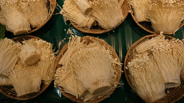 Jamur Enoki/Photo by Ingeborg Korme on Unsplash