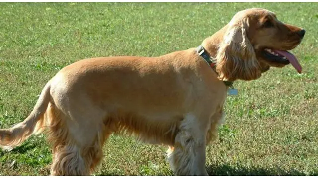 Foto : copyright toptenz.net