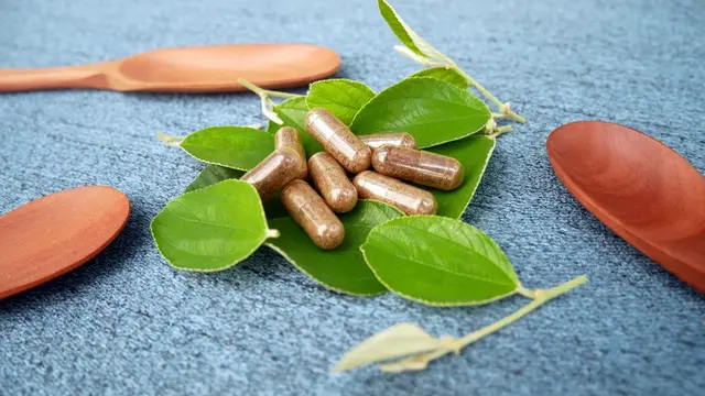 daun bidara kesehatan kapsul