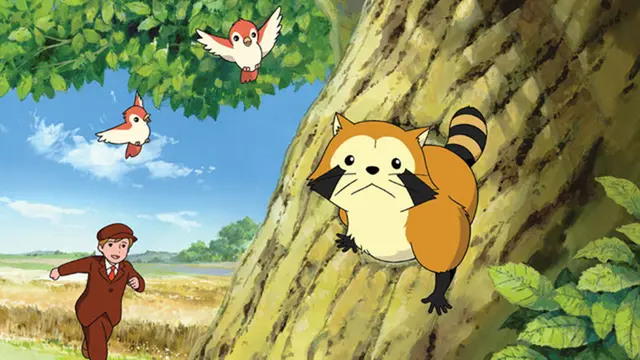 Anime Rascal the Raccoon