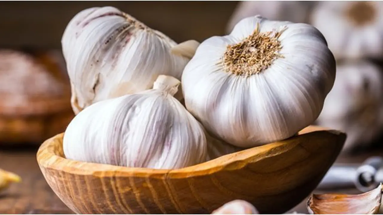 Perawatan rambut/copyright Shutterstock.com