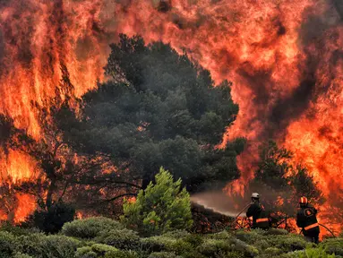 Petugas pemadam kebakaran mencoba memadamkan api saat kebakaran di Desa Kineta, dekat Athena, Rabu (24/7). Kebakaran hutan hebat telah menewaskan 74 orang di Yunani. (AFP Photo/Valerie Gache)