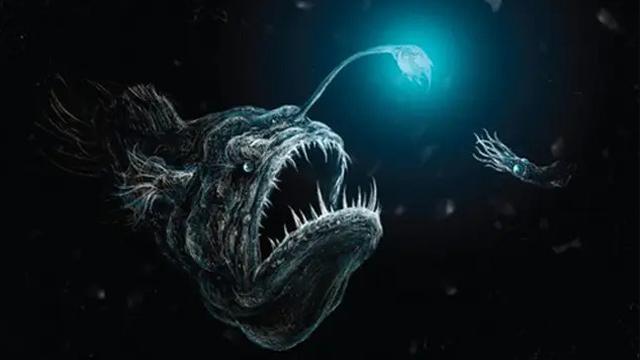 Ilustrasi Anglerfish (NOAA via Liputan6.com)
