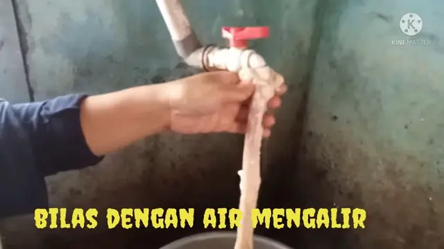 Tambah 2 Bahan, Ini Trik Olah Usus Sapi Agar Empuk dan Tidak Bau