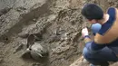 Peneliti meneliti kerangka kuda dan kereta di sebuah lubang penguburan kuda di Luoyang, Cina. Para ahli berharap situs ini akan membantu mereka mengungkap dan melacak gerakan dari kelompok etnis minoritas di daerah tersebut. (Dailymail)