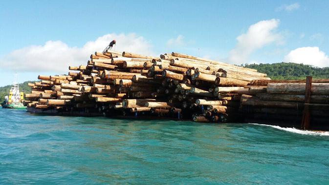Pengawasan tersebut dilakukan untuk menghindari terjadinya penyelundupan ekspor kayu log ilegal ke luar negeri.