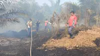 Petugas pemadam kebakaran Kabupaten Paser saat berupaya memadamkan kebakaran hutan dan lahan di wilayah Paser.