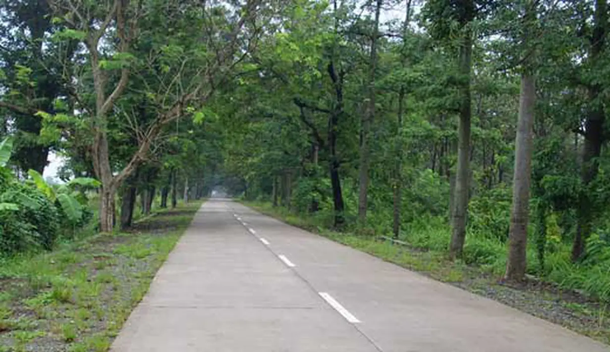 Citizen6, Indramayu: Jalan Sanca Cikamurang Indramayu, tapi di jalan haurgeulis Cikamurang via Gantar hancur, rusak dan berlubang. Tak sedikit truk pengangkut padi hasil panen terbalik melintasi jalan tersebut. (Pengirim:Tresna)