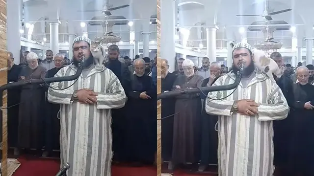Respons Imam Saat Sholat Tarawih Kucing Melompat ke Arahnya, Tetap Khusyuk Sembari Mengelus