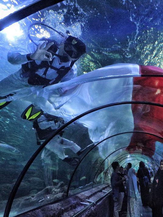 Pengunjung mengamati penyelam membentangkan bendera Merah Putih untuk memperingati HUT Ke-73 RI di Seaworld Ancol, Jakarta, Jumat (17/8). Pengibaran bendera melibatkan para penyelam profesional dan artis peran Marsha Aruan. (Liputan6.com/Faizal Fanani)