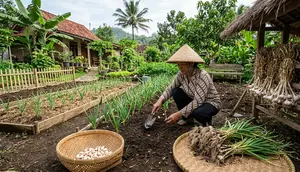 Cara Menanam Bawang Putih hingga Panen untuk Pemula, Lengkap dari Bibit sampai Simpan