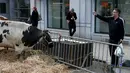 Warga mengabadikan lokasi terjadinya aksi protes depan Gedung Kementerian Pertanian Uni Eropa, Brussels , Belgia, (14/3). Aksi ini dilakukan oleh petani yang membawa sapi untuk melakukan aksi protes. (REUTERS/Francois Lenoir)