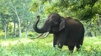 6 Breathtaking Places To Visit In Karnataka To Connect With Nature