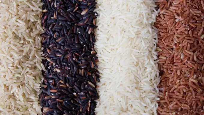 Alternatif beras plastik