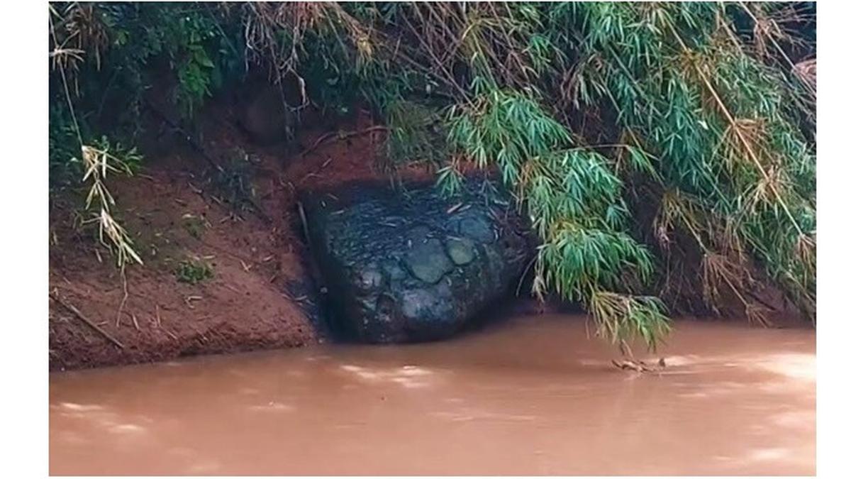 Viral Penampakan Batu Mirip Ular Raksasa, Dijuluki Fenomena "Naga Tidur"