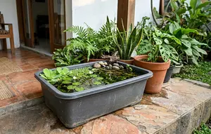 6 Ide Mini Pond dari Pot Bekas untuk Percantik Teras Rumah Tanpa Banyak Biaya