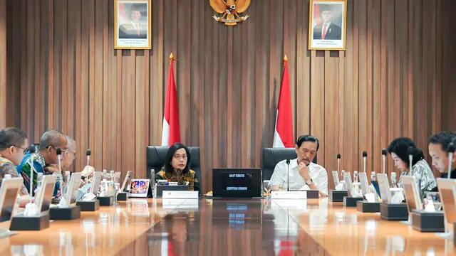 Ketua DEN, Luhut Binsar Pandjaitan bertemu Menkeu Sri Mulyani di Kantor DJP, Selasa, 14 Januari 2025. (Foto: Liputan6.com/Maulandy R)