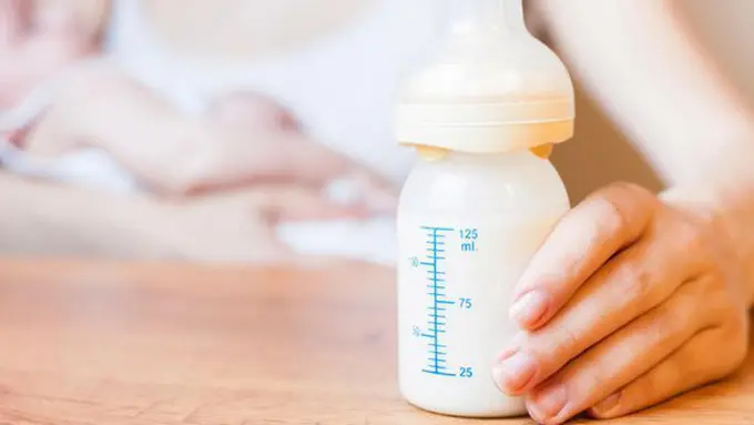 copyright shutterstock.com