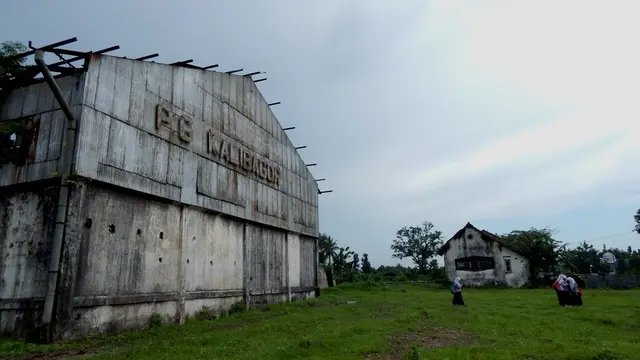 Mencegah Robohnya Bangunan Kuno Pabrik Gula Kalibagor