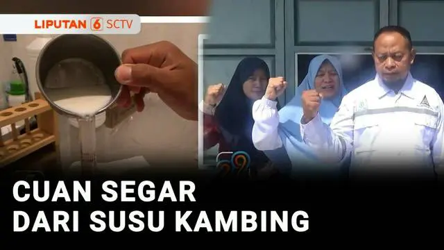 VIDEO: Berani Berubah: PNS Isi Waktu Libur dengan Produksi Susu Kambing, Cuannya Jutaan