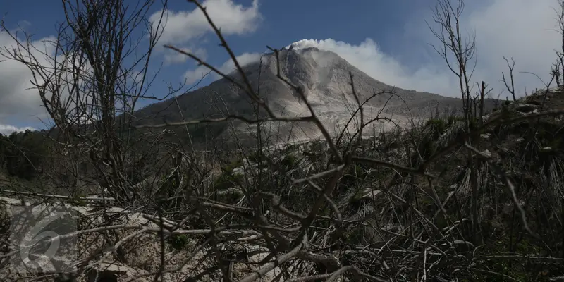 20150705-Akibat Letusan Sinabung, Desa Sibintun 'Tinggal Kenangan'-Sumatera 1